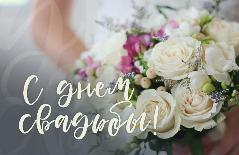 ������� � ������� - ������� 26.11.2022, ������� ��������� ������