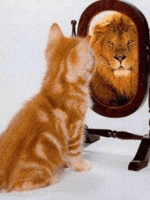  ��� ������� ���� ���������� 